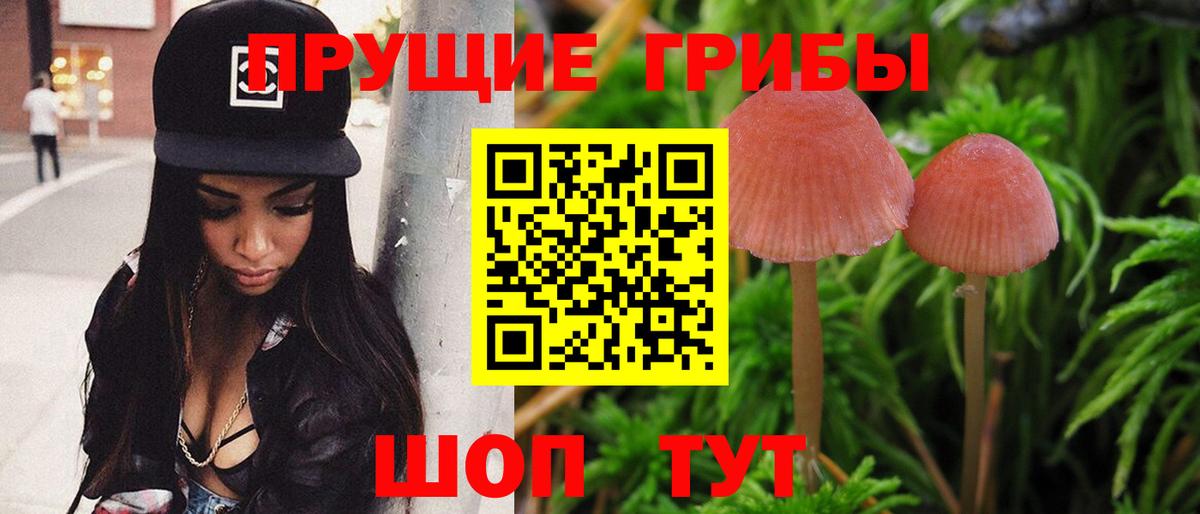 Кумертау  Галлюциногенные грибы MAGIC MUSHROOMS  Вход с VPN 
